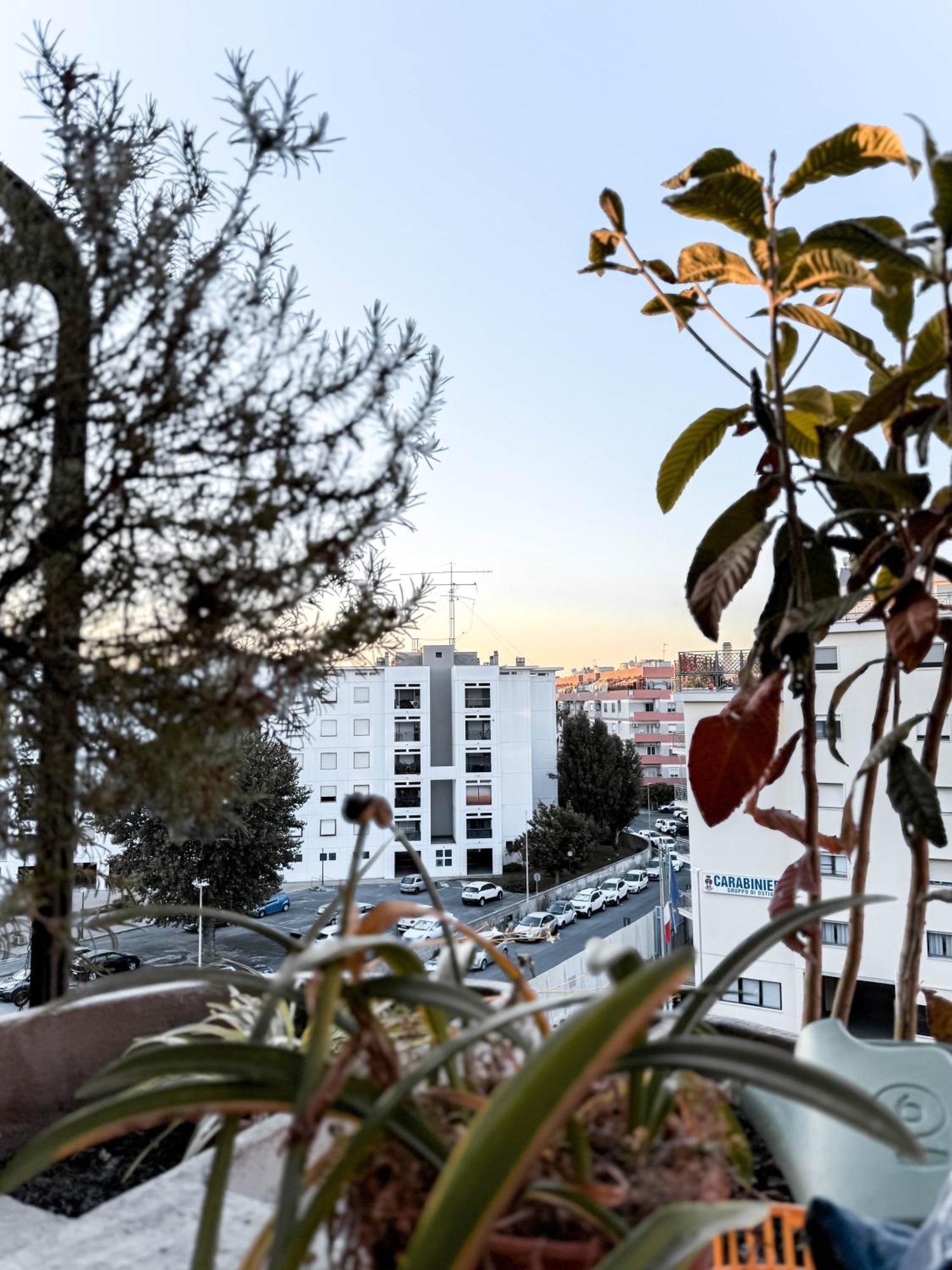 Mamas House Apartment ลิโด ดิ ออสเตีย ภายนอก รูปภาพ